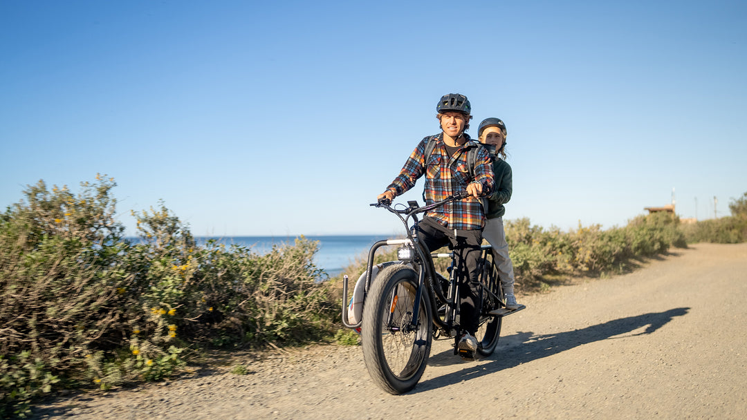 Cargo and Passenger Bikes