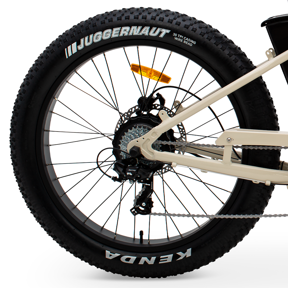 012224_FAT_MURF_ST_DS_HERO_2_ec80d490-4b20-4aca-8111-a3394a4122ee