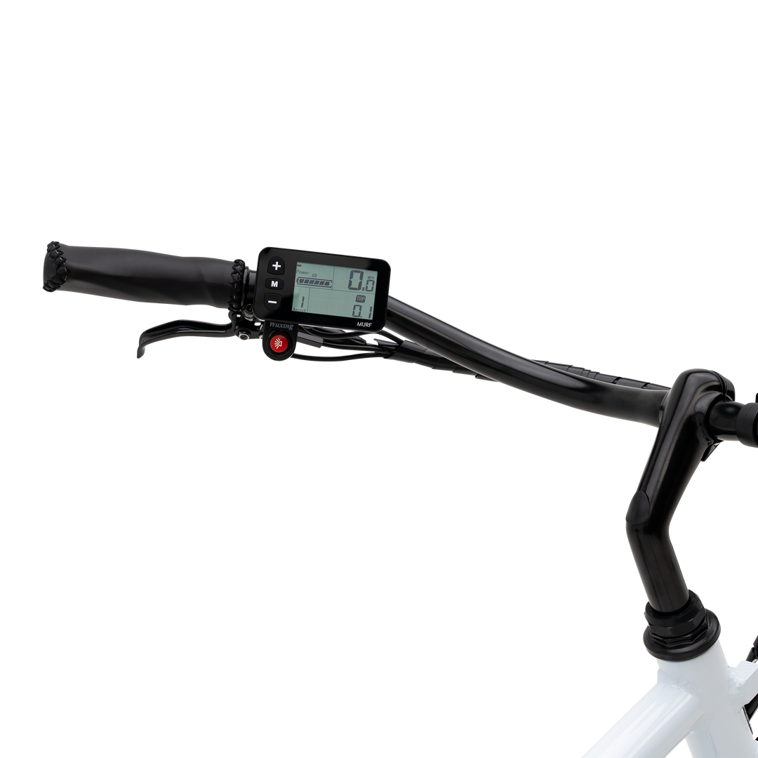 Assist step best sale thru electric bike