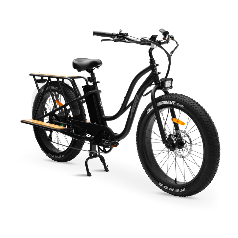 Electric Bikes (Up to 50 Mile Range) | Murf Electric Bikes