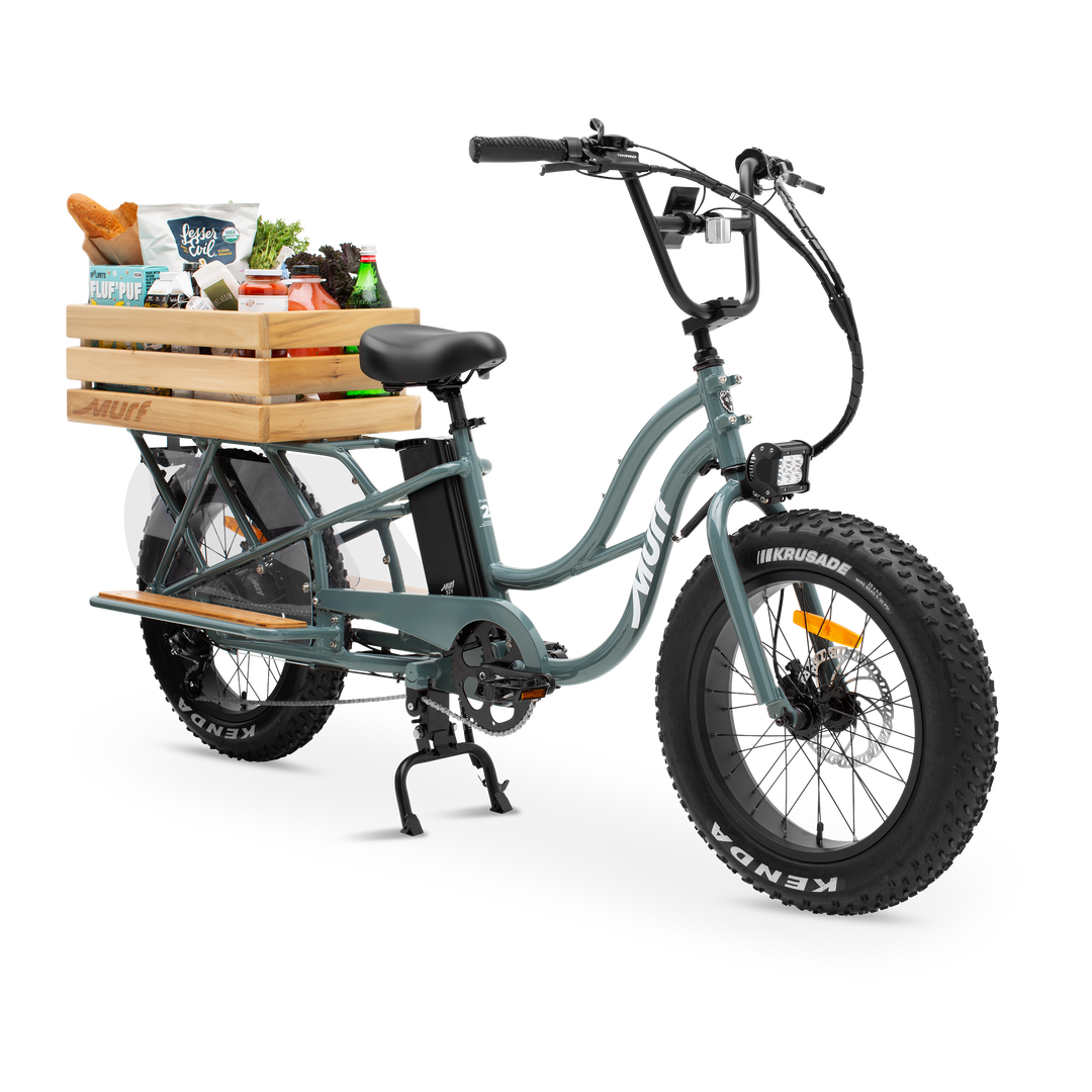 Cargo e discount bike