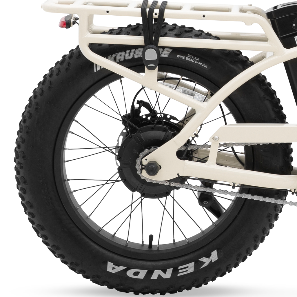 102025_HIGGS_ST_BONE_HERO_2_2e6e2552-2954-484b-a44d-843bd6309b06