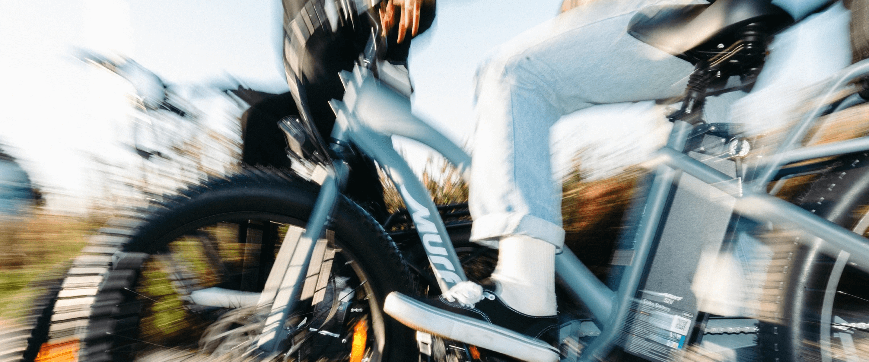 imgi_25_040125_MURF_EVERGREEN_1_36_1_1