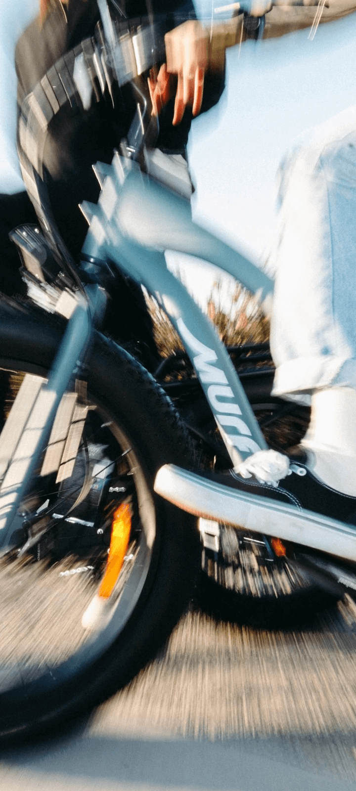 imgi_25_040125_MURF_EVERGREEN_1_36_1_2_1