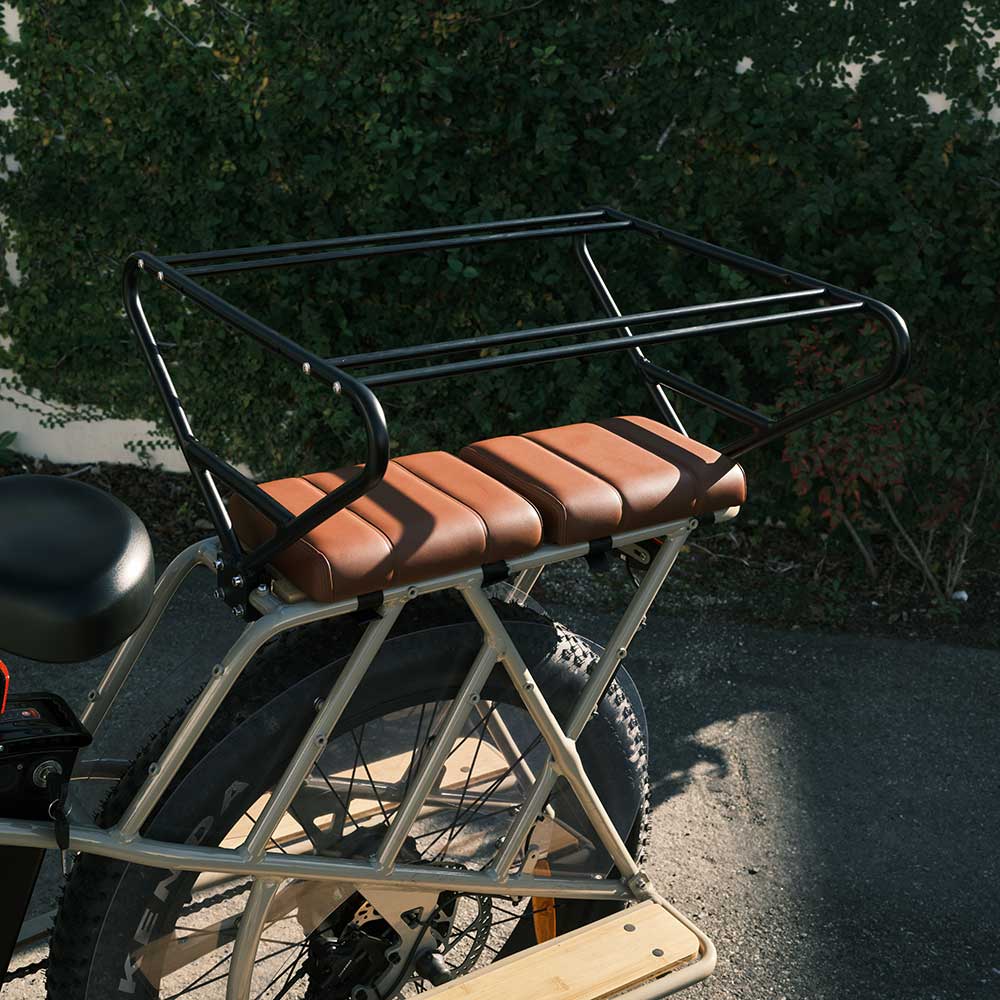 2-in-1 Multi-function Seat Cushion Set – Electric Bike Paradise